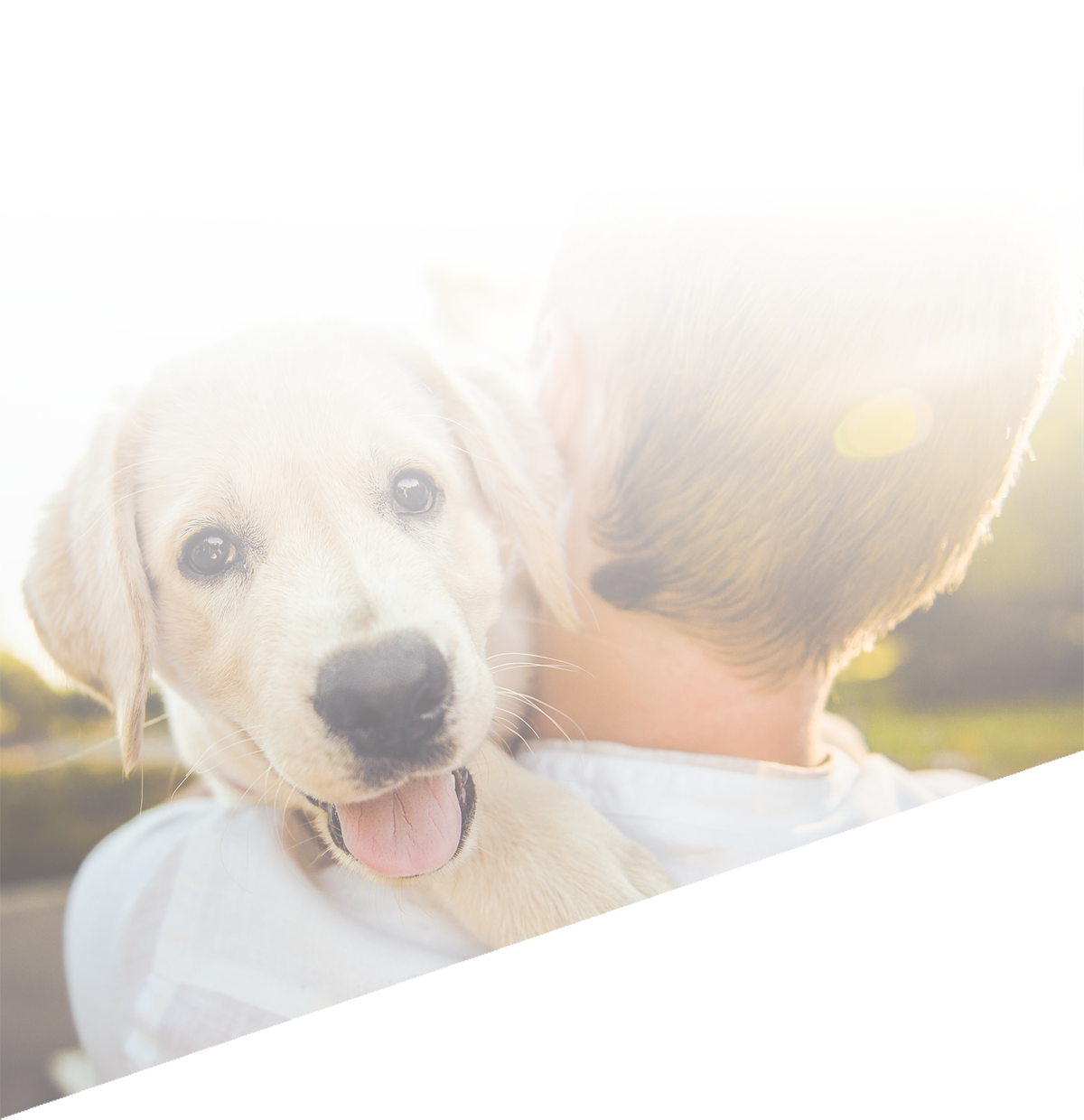 이미지 간략 설명