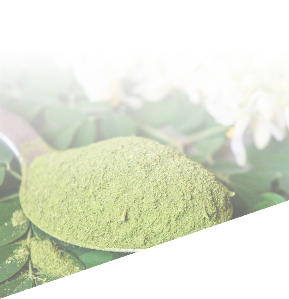 이미지 간략 설명