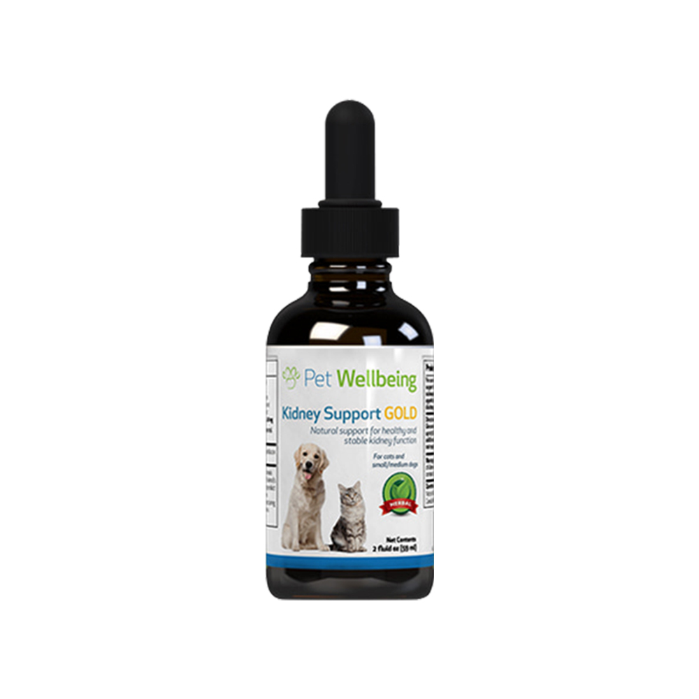 메이플캐나다 ㅣ반려묘 신장 보조제 (59ml)