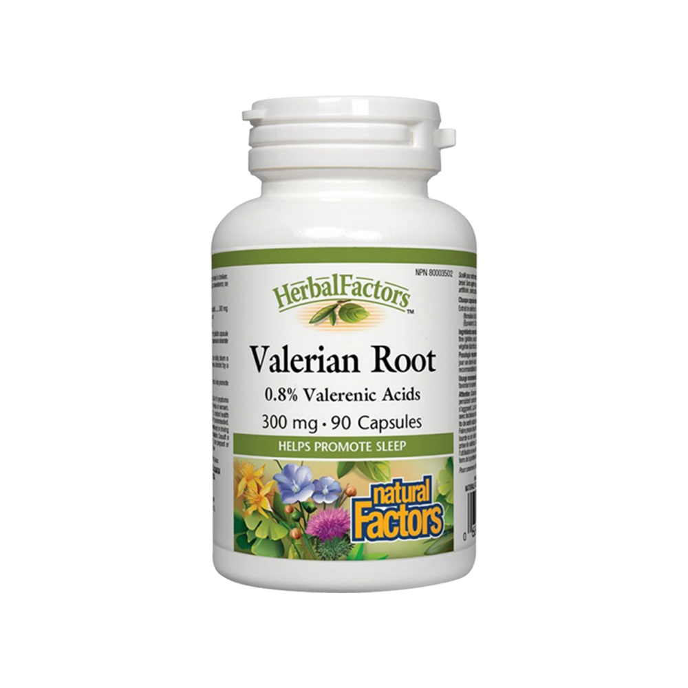 이미지 간략 설명