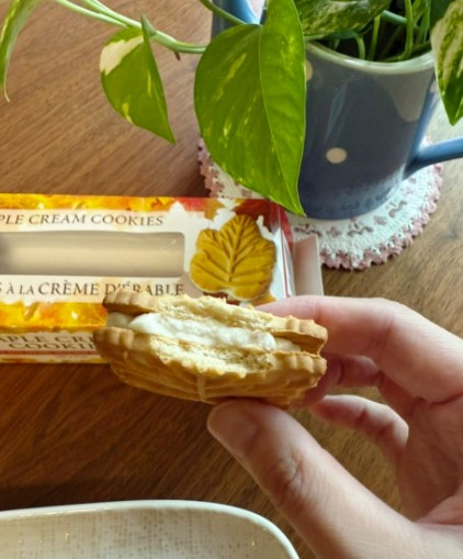 상품리뷰이미지